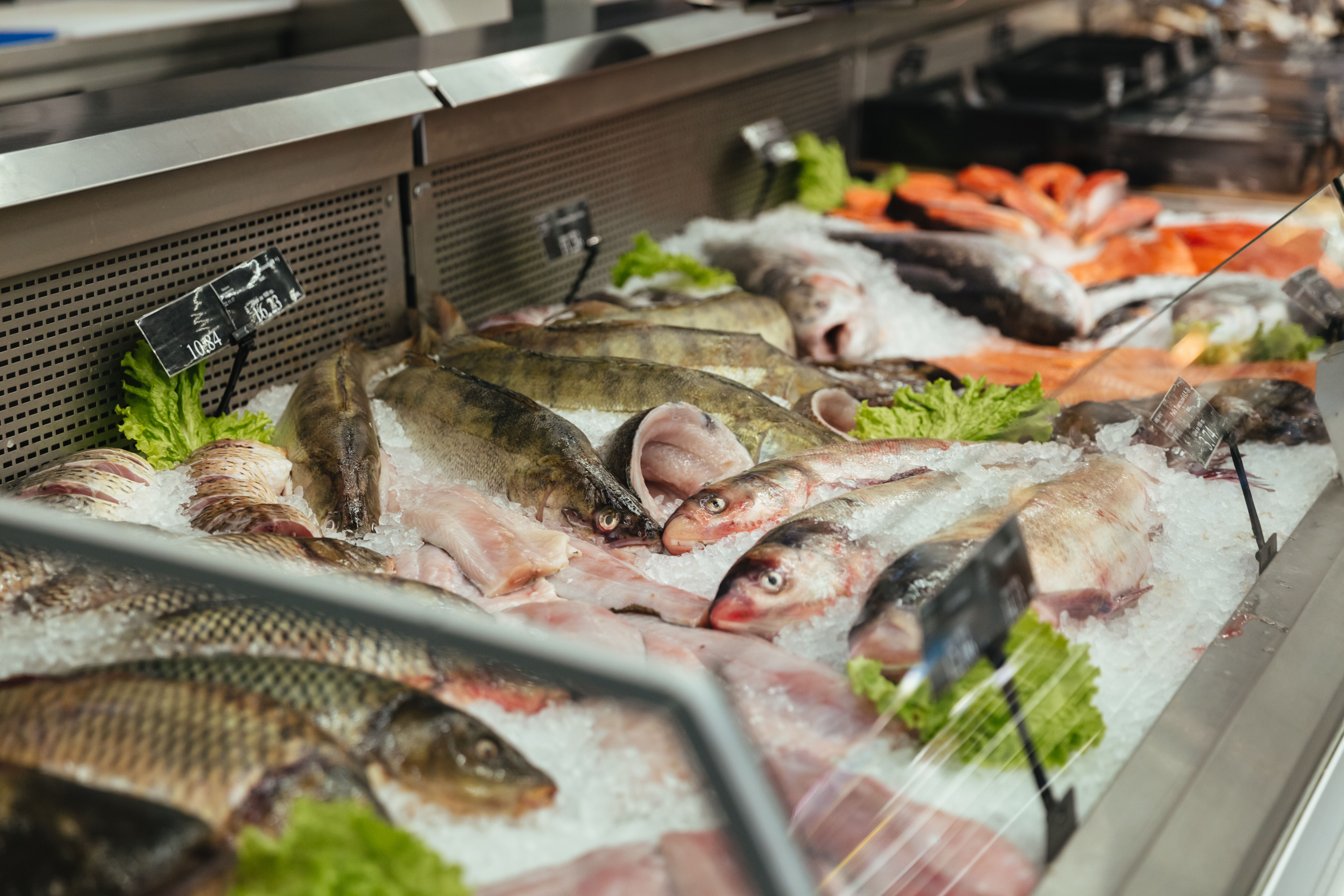 Health Benefits of Fresh Seafood and How to Store It Properly